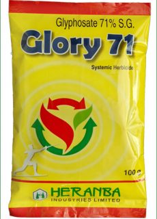 fo_he_glory-71 fo_he_glory-71