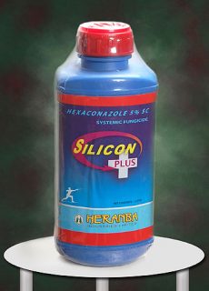 brands_silicon_plus brands_silicon_plus