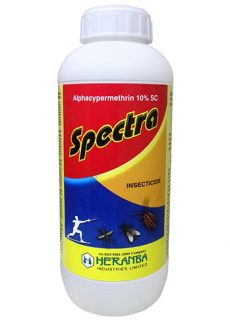 brands_spectra brands_spectra