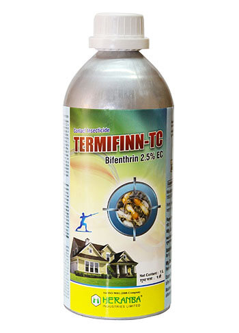 Termifinn