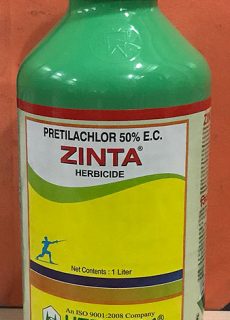 herbi_zinta herbi_zinta