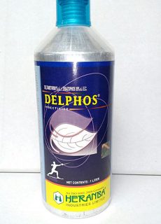 insect_delphos
