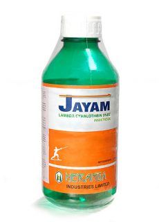insect_jayam insect_jayam