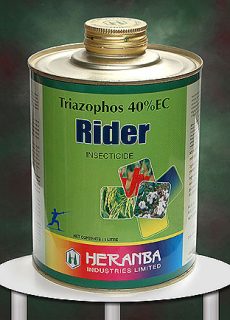 insect_rider insect_rider