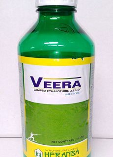 insect_veera insect_veera