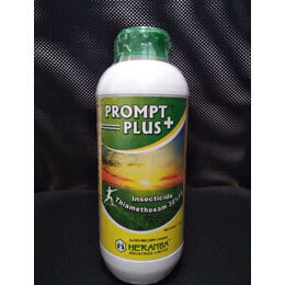 Prompt-Plus2