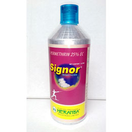 Signor