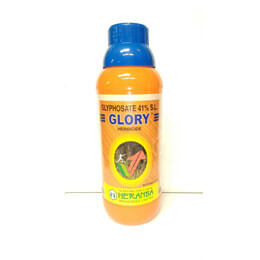 glory