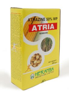 Atria Atria
