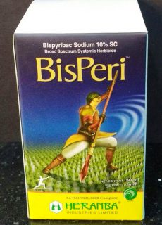 Bisperi Bisperi