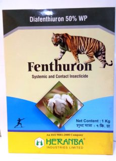 FENTHURON FENTHURON