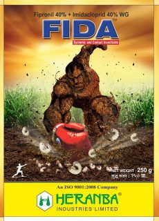 Fida_250gm_carton Fida_250gm_carton