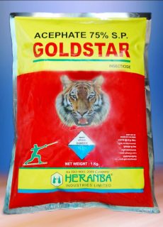 Goldstar Goldstar