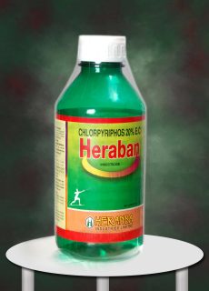 Heraban Heraban