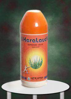 Heralaud Heralaud