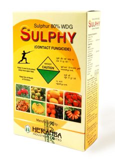 Sulphy Sulphy