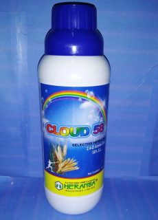 cloud_58 cloud_58