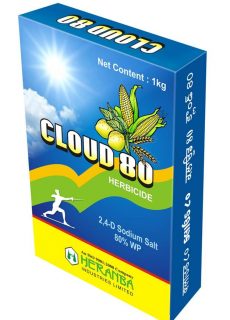 cloud_80 cloud_80