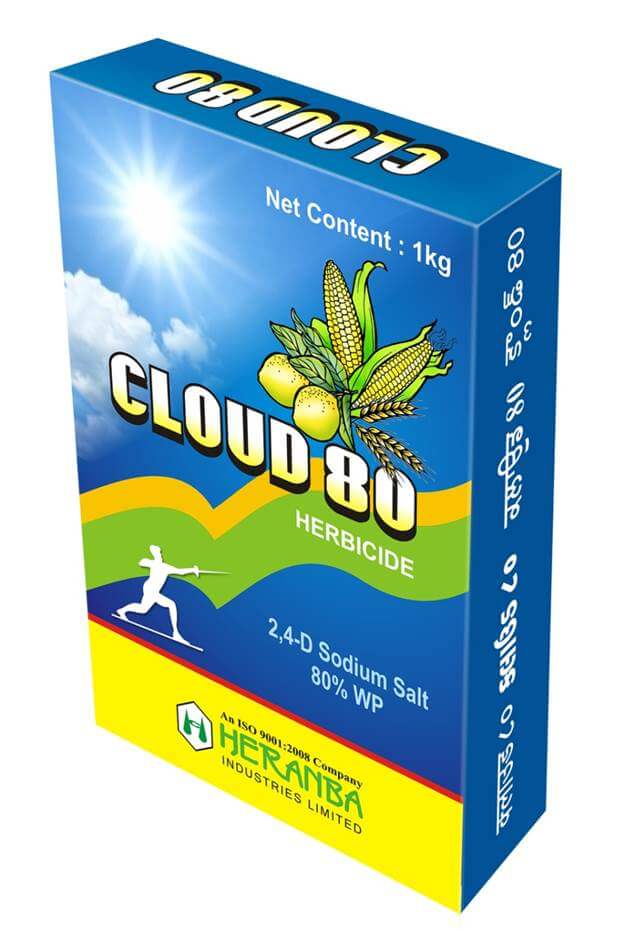 Cloud 80