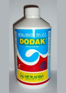dodak_new dodak_new