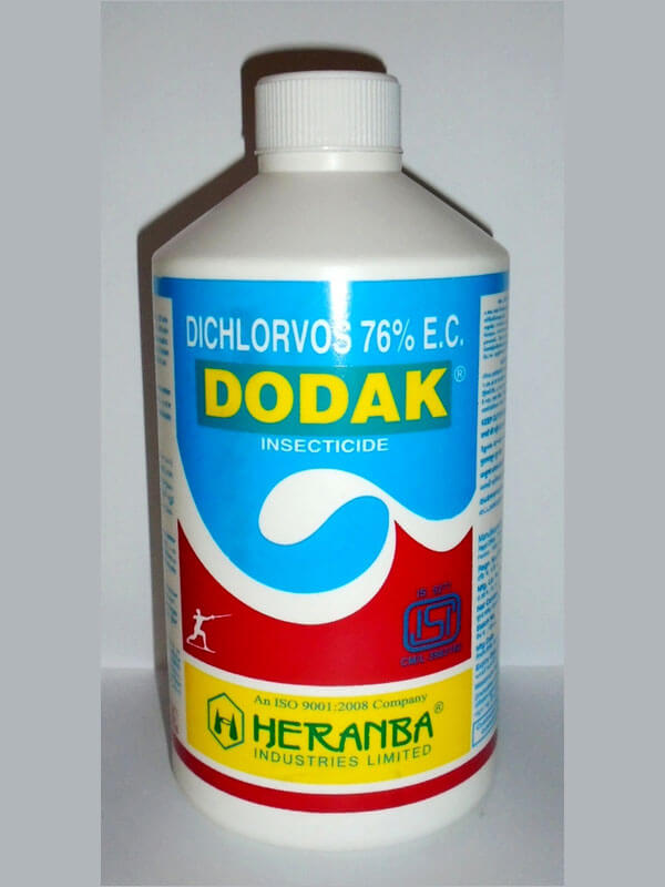 Dodak