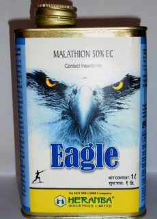 eagle_tin eagle_tin