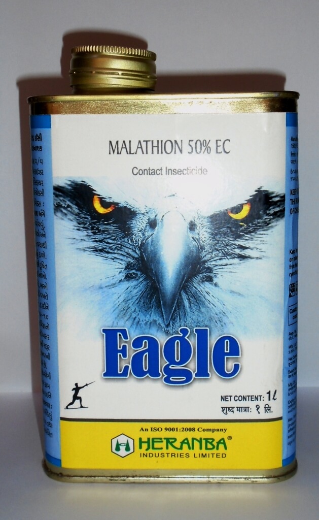 Eagle