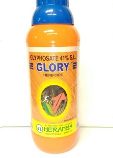 glory glory