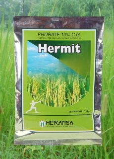 hermit hermit