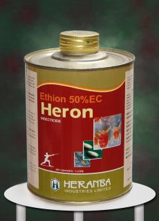 heron heron