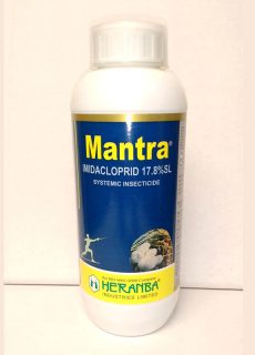 mantra mantra