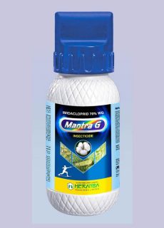 mantra_g mantra_g