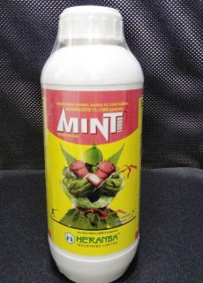 mint_10000 mint_10000