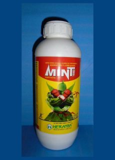 mint_3000 mint_3000