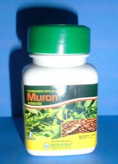 muron muron