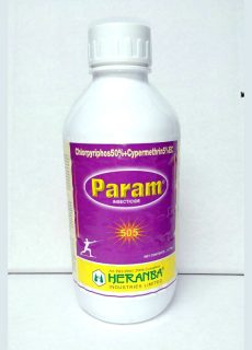 param param