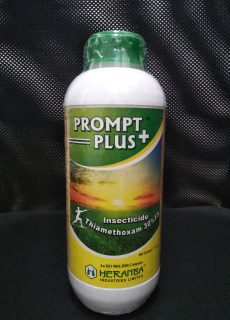 prompt_plus prompt_plus