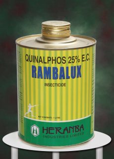 rambalux rambalux