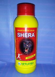 shera shera
