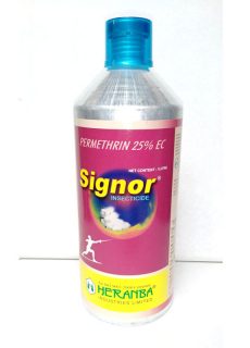 signor signor