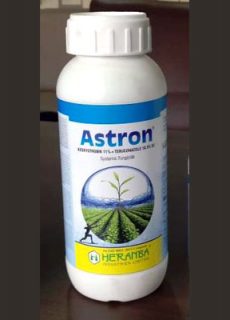 ASTRON ASTRON