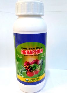 HERAPHON HERAPHON
