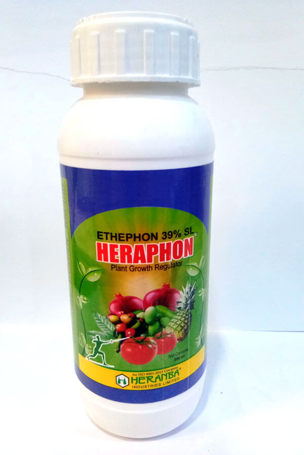 HERAPHON
