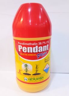 Pendant Plus Pendant Plus