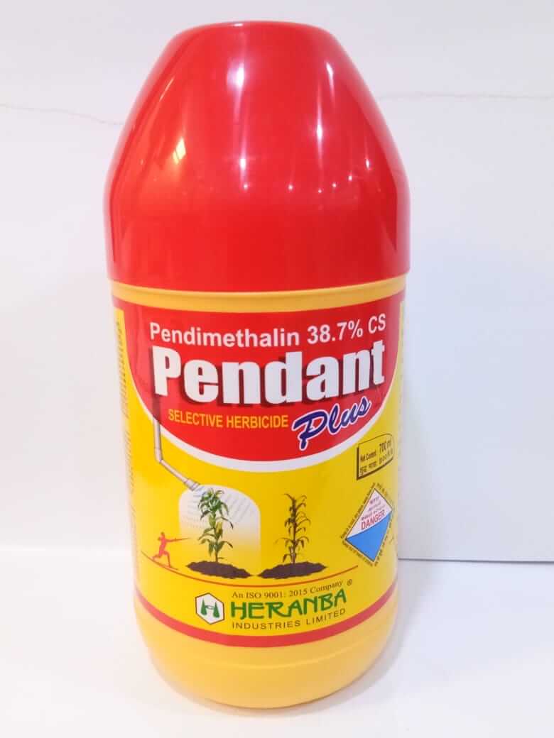 Pendant Plus