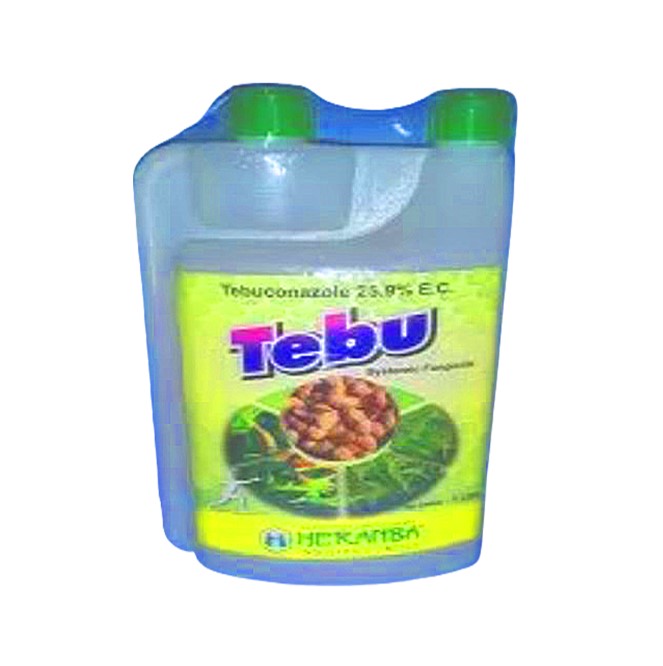 TEBU