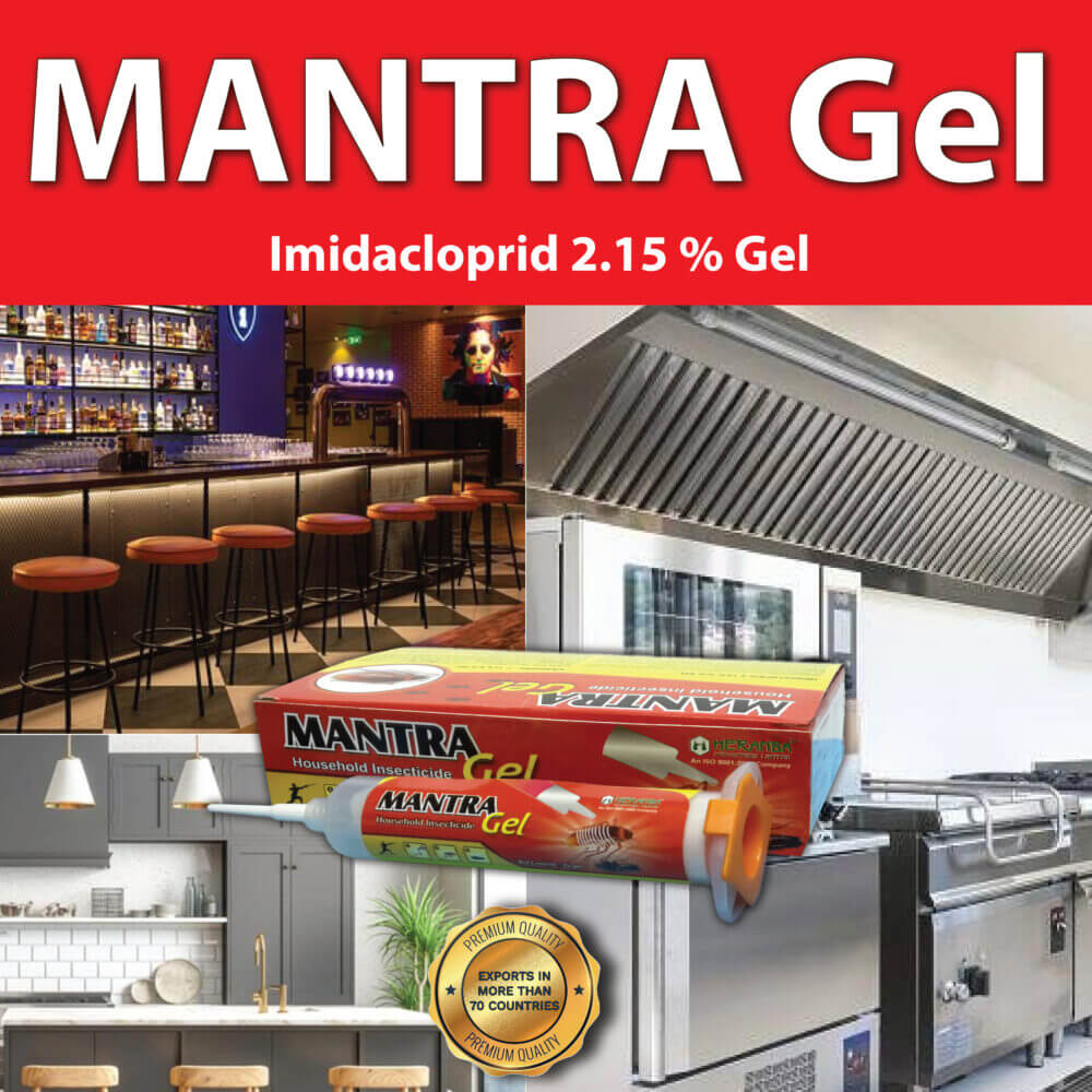 Mantra Gel